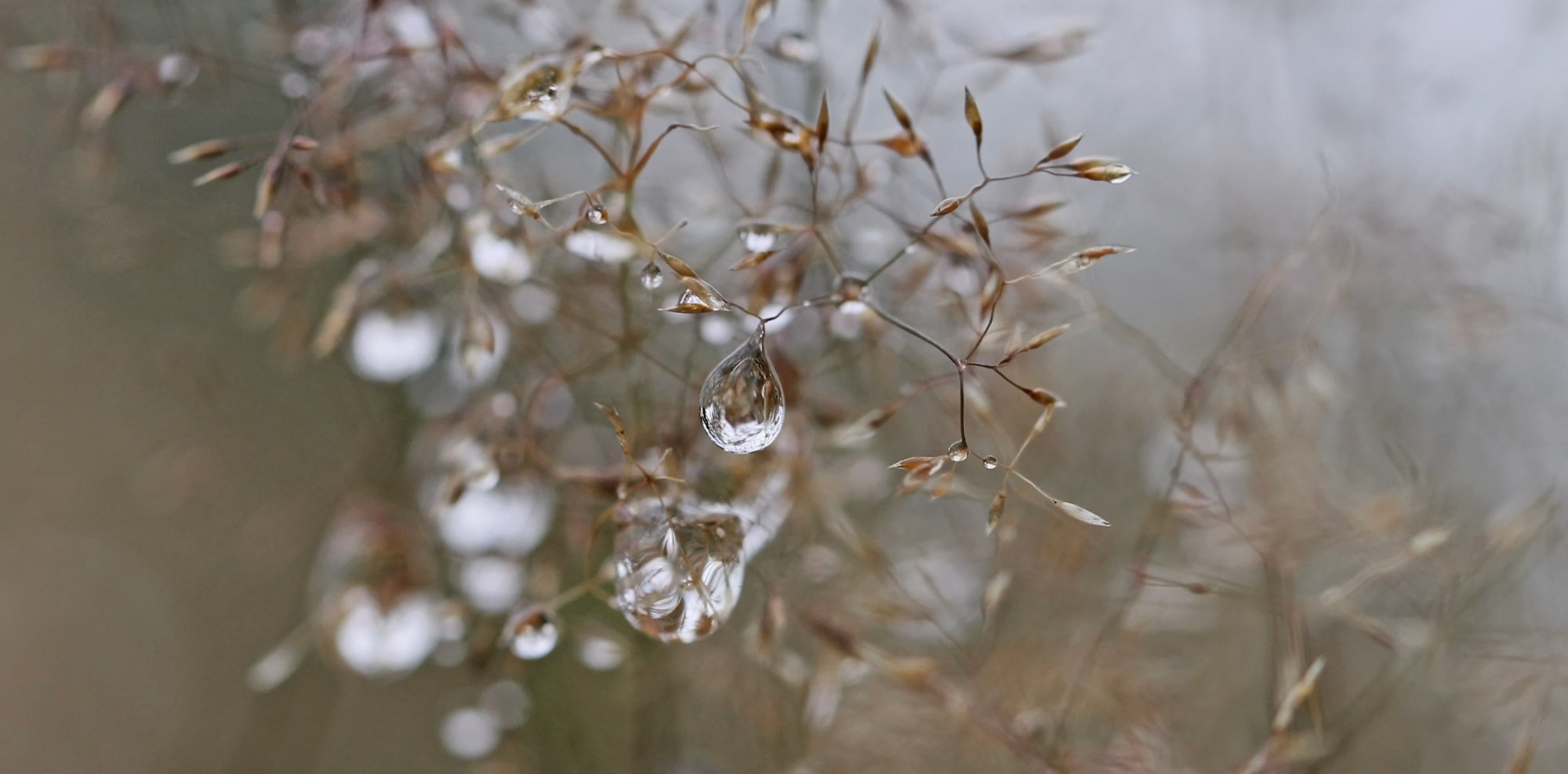 *Regenwetter*