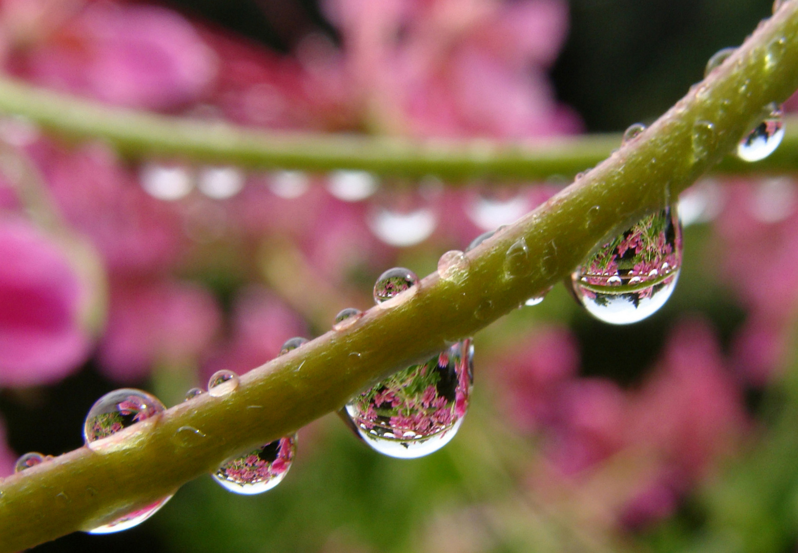 Regenwetter