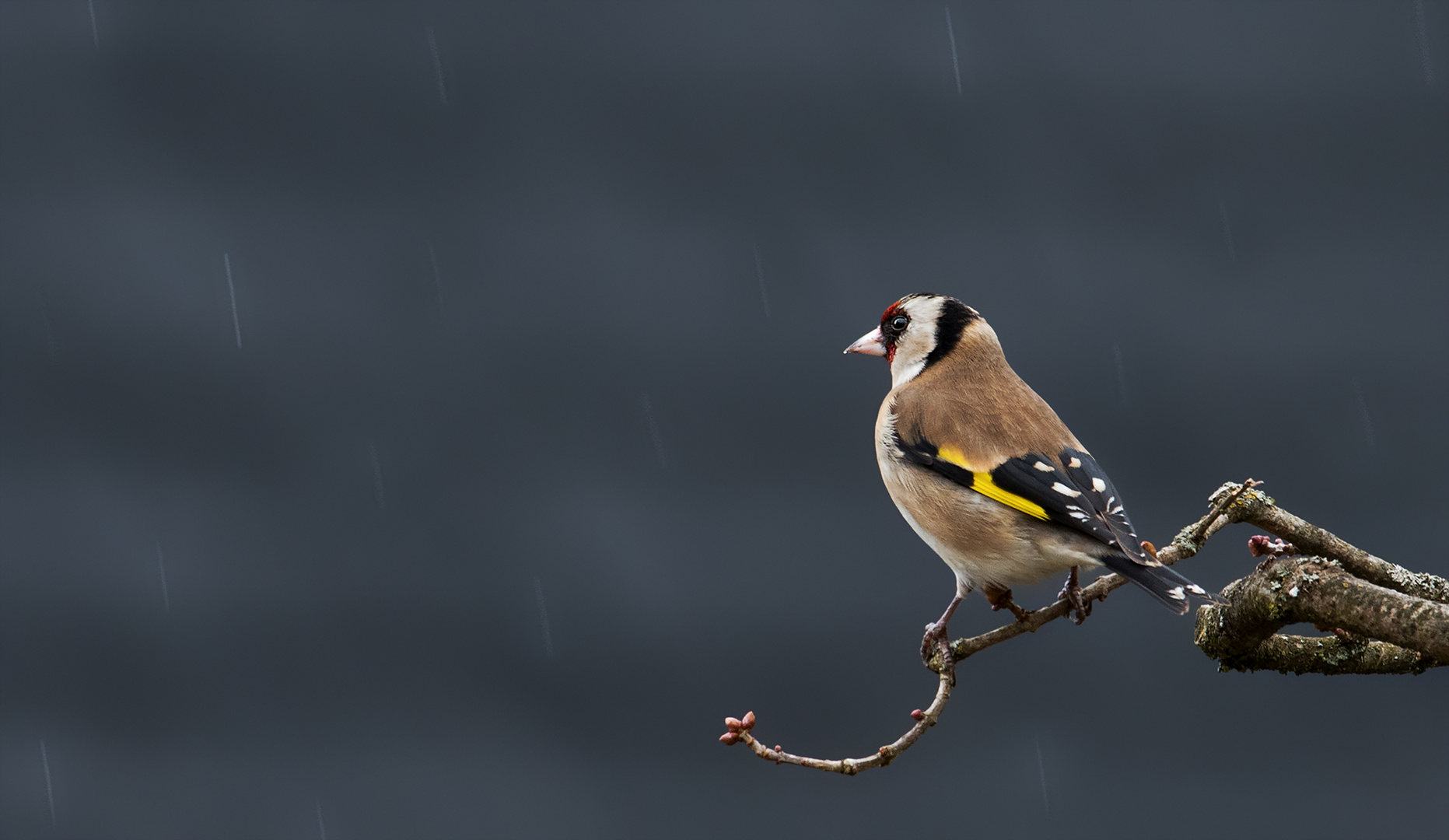 Regenwetter