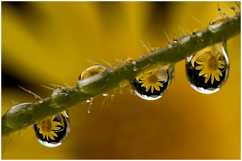 Regenwetter