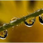 Regenwetter