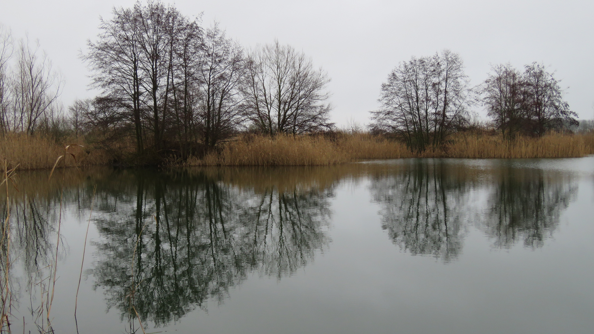 Regenwetter am Kiessee...