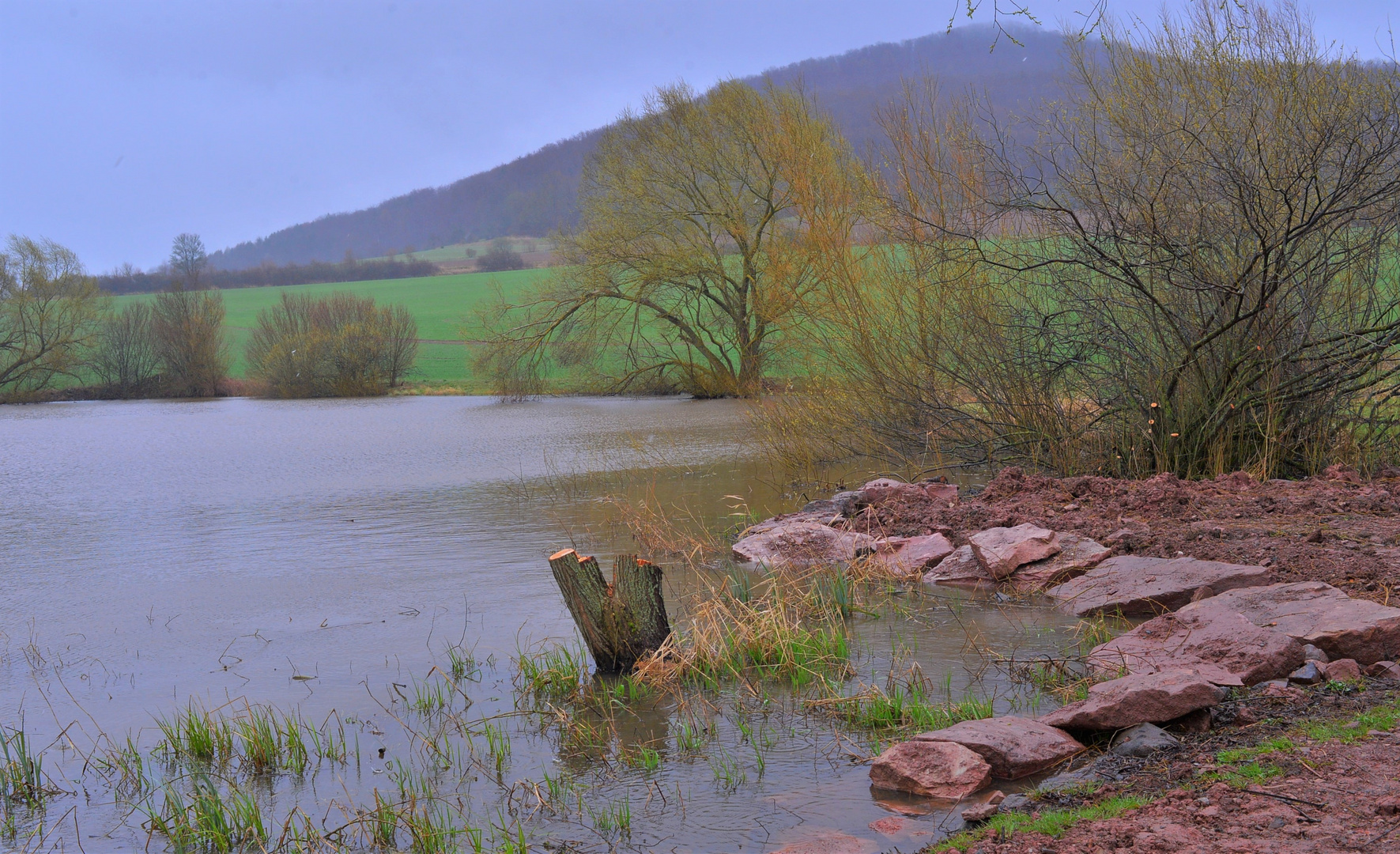 Regenwetter am See