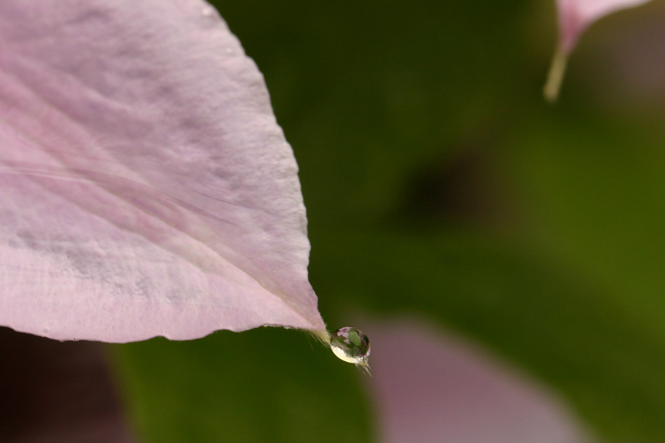 Regenwetter