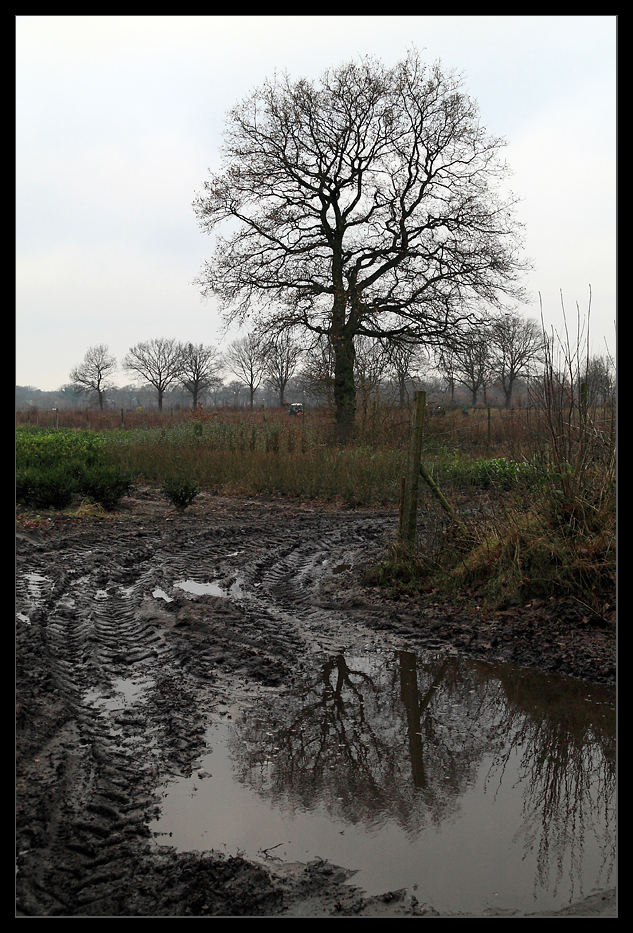 Regenwetter