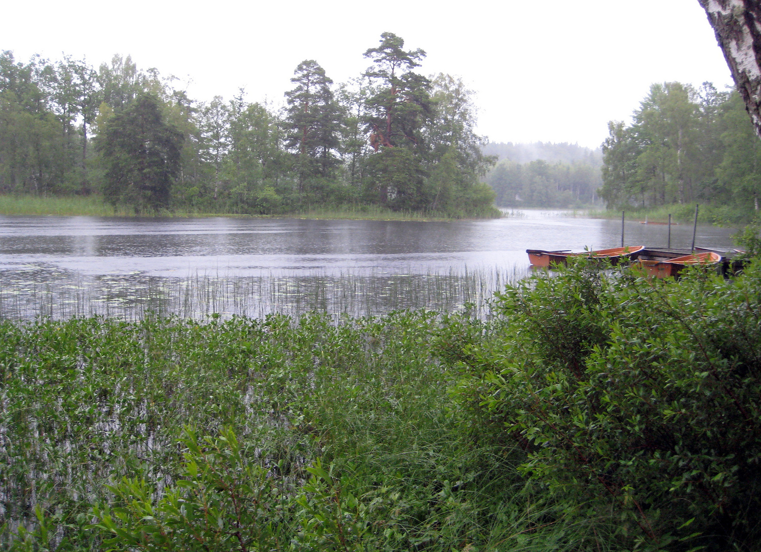 Regenwetter