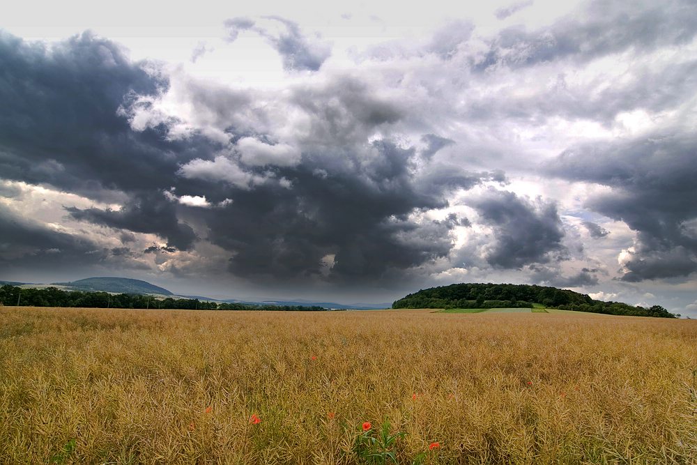 Regenwetter I