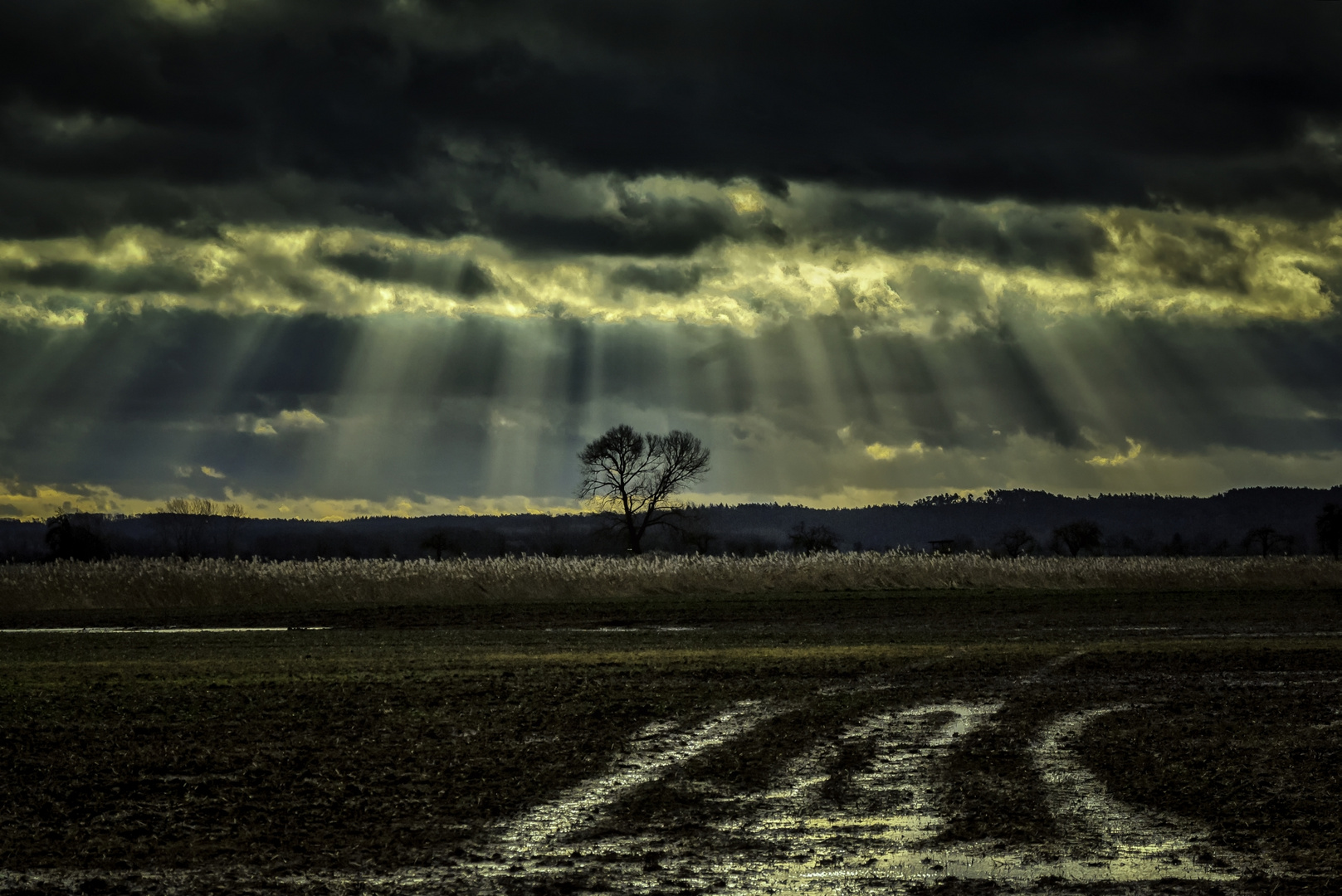 Regenwetter, immer noch