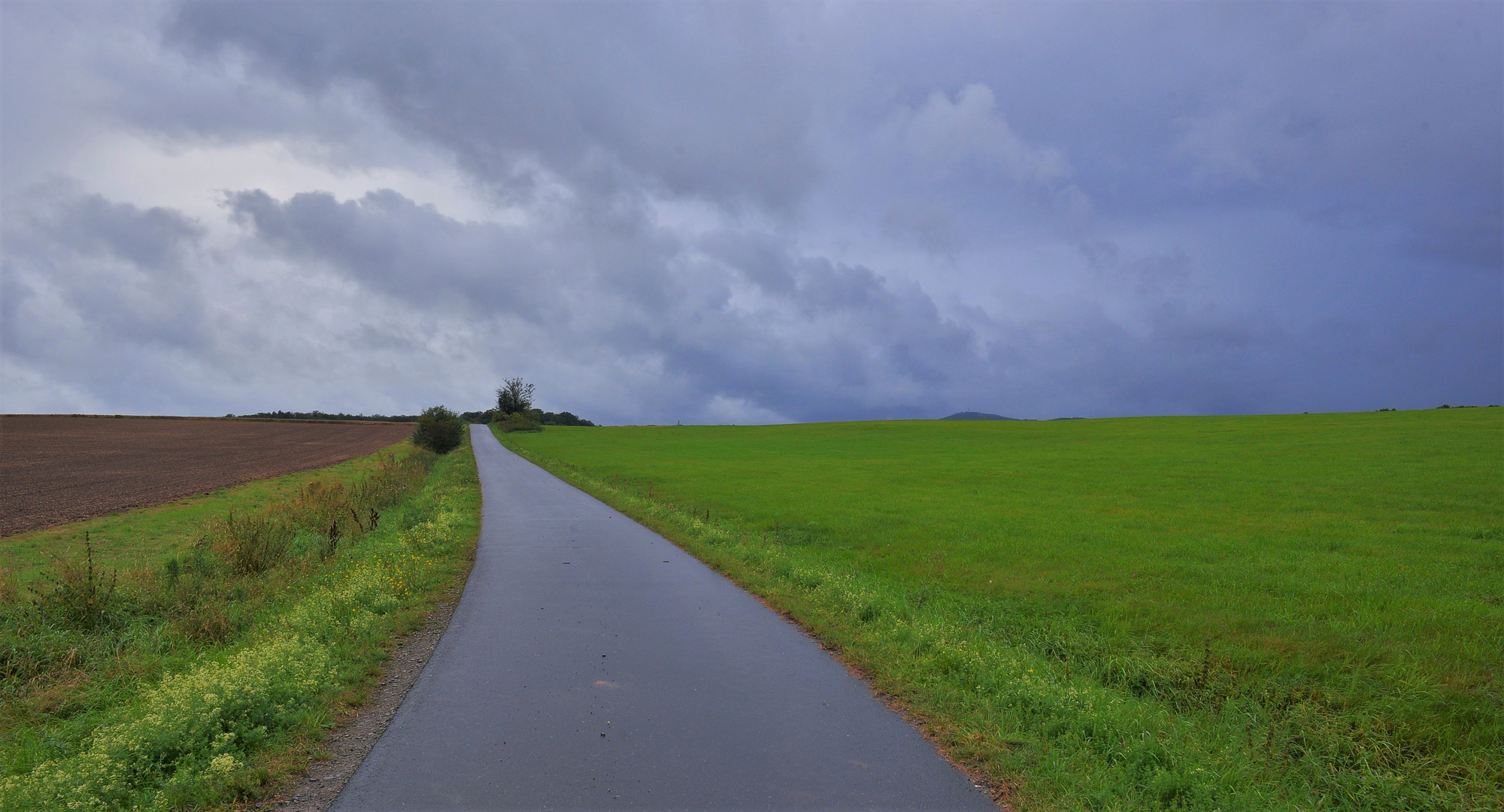 Regenwetter (tiempo lluvioso)