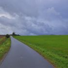 Regenwetter (tiempo lluvioso)