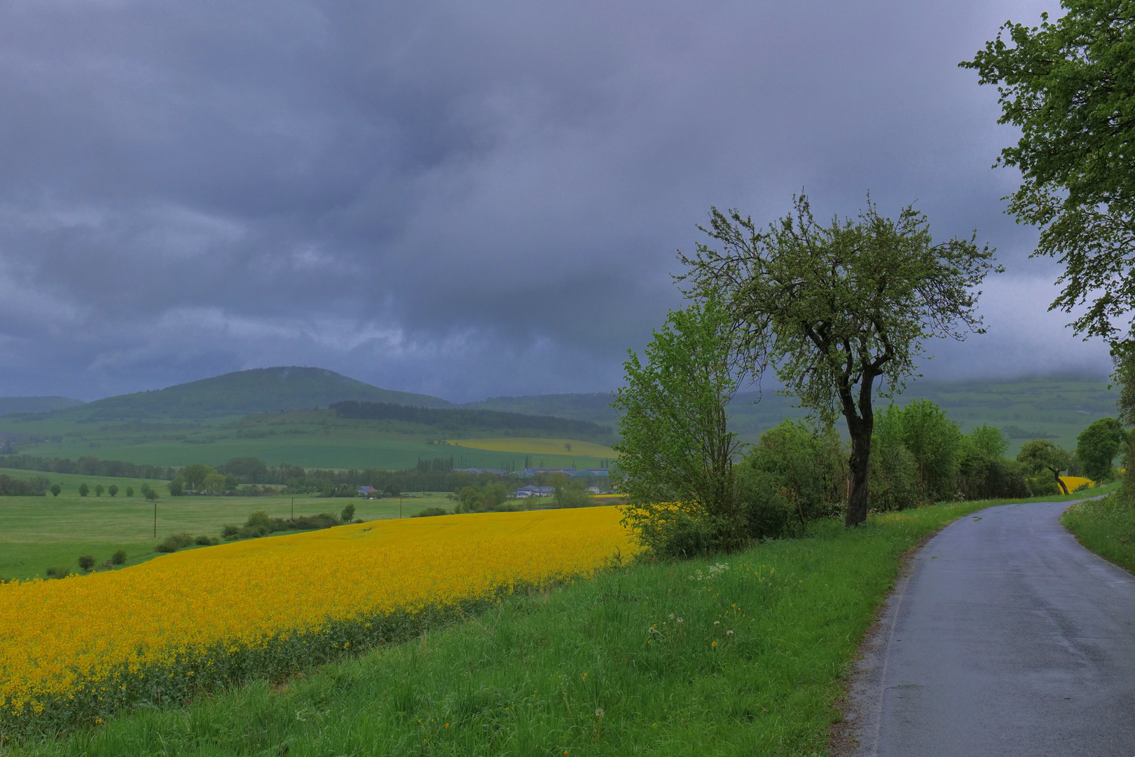 Regenwetter (tiempo lluvioso)