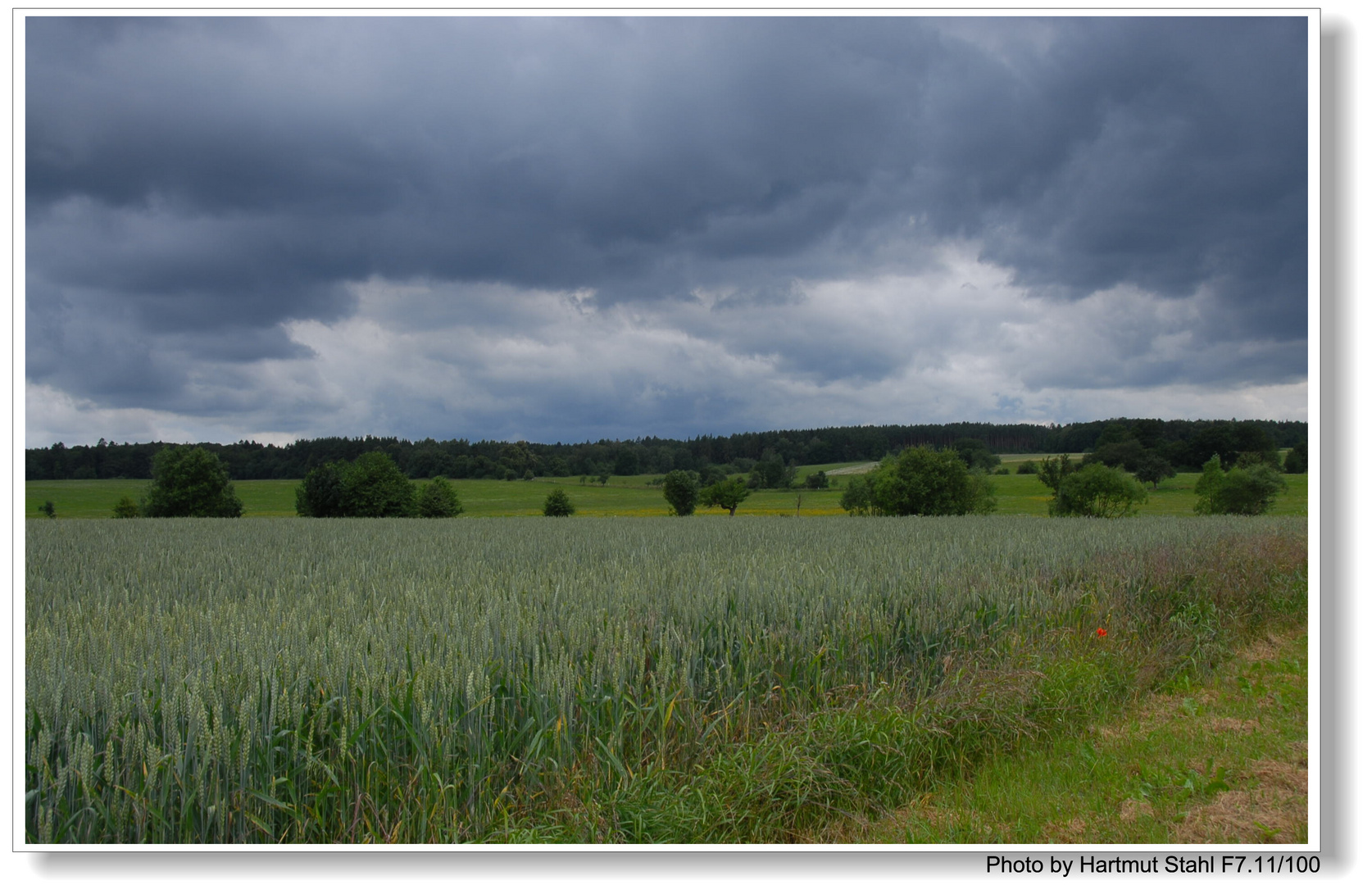 Regenwetter (tiempo lluvioso)