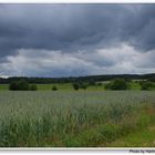 Regenwetter (tiempo lluvioso)