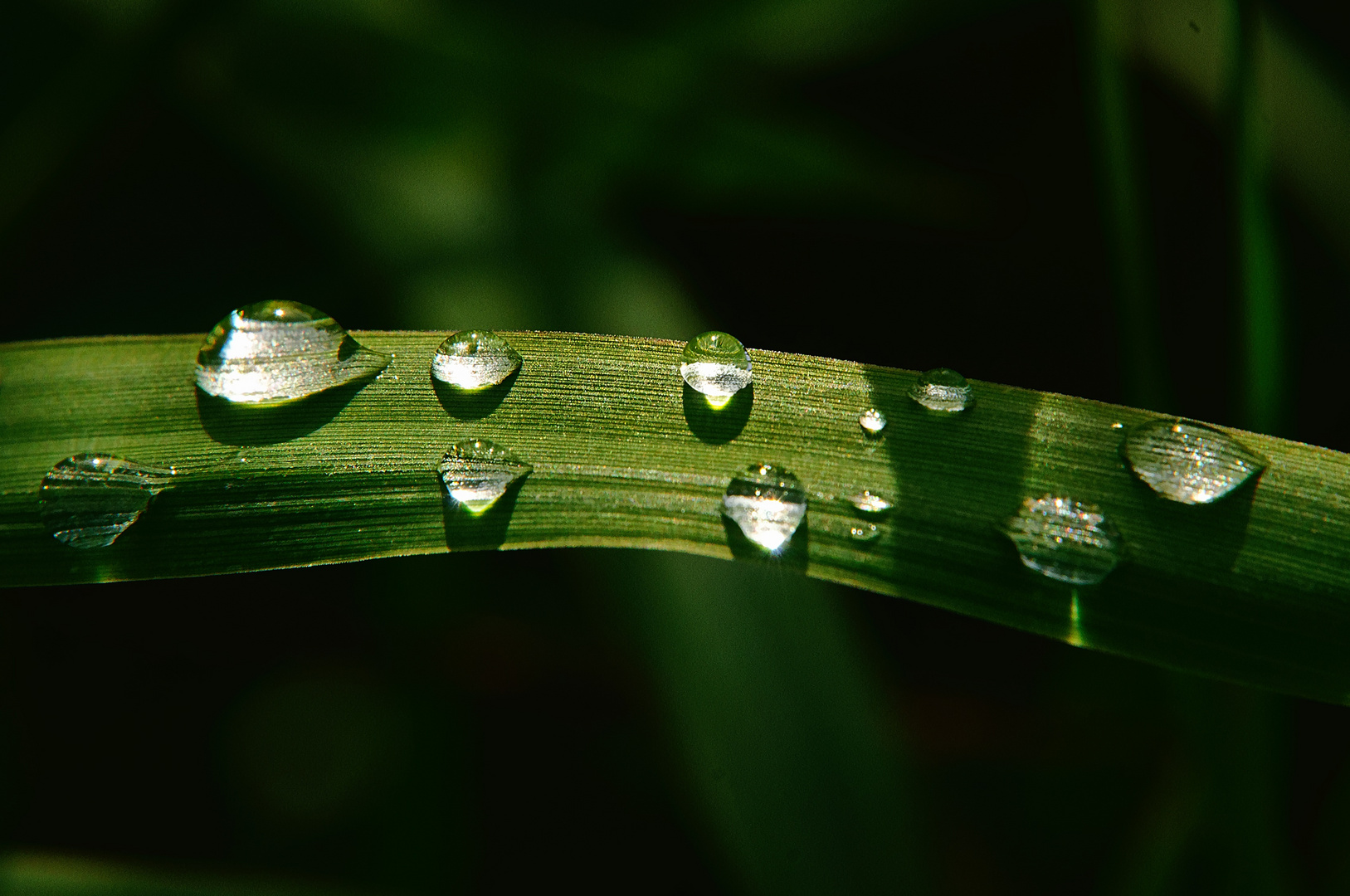 Regenwetter - Tropfenwetter