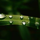 Regenwetter - Tropfenwetter