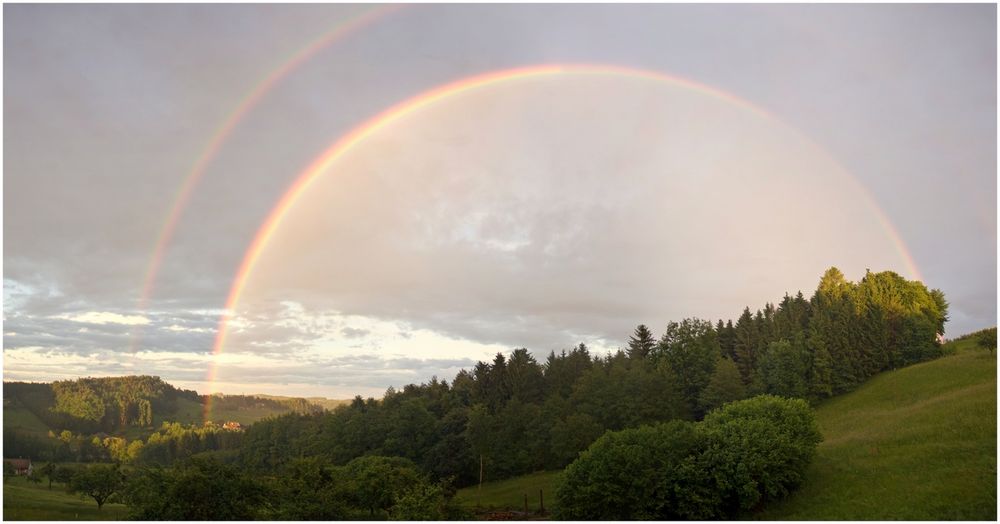 Regenwetterjuwel