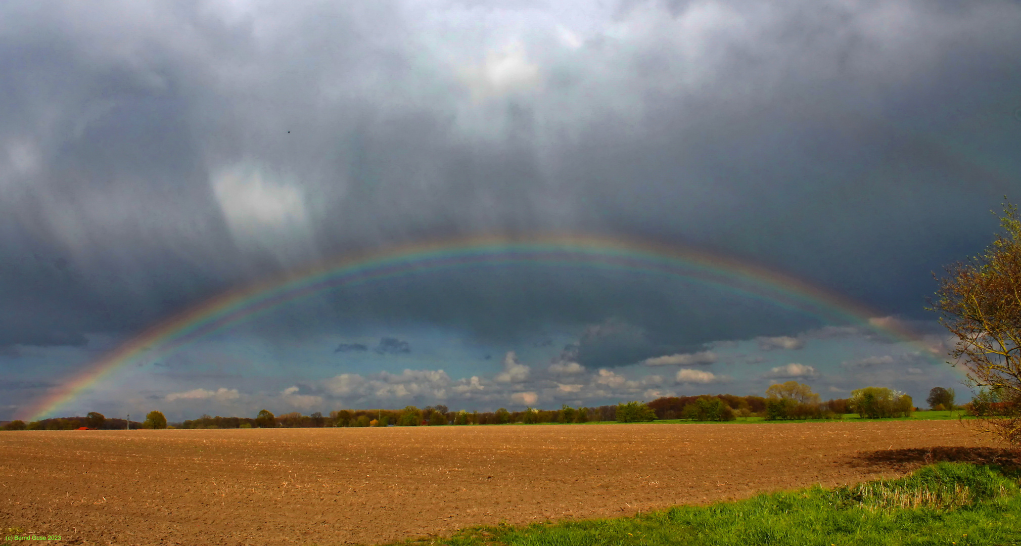 Regenwolke