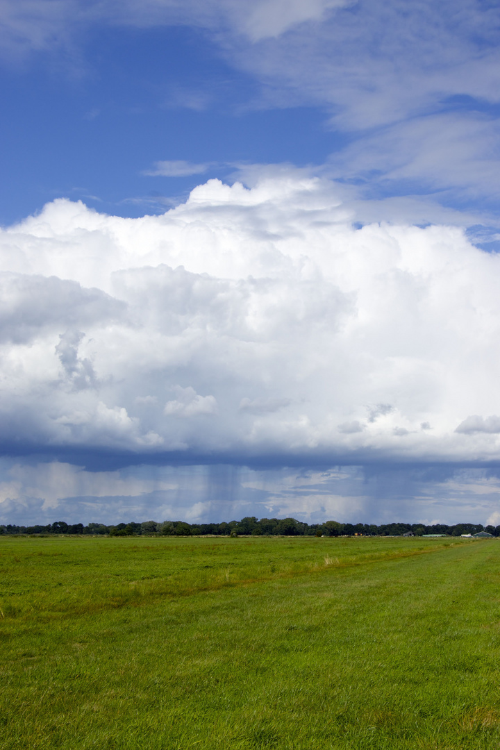 Regenwolke - Höftdeich mit dem Blick zu den Truper Blänken