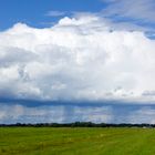 Regenwolke - Höftdeich mit dem Blick zu den Truper Blänken