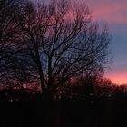 Regenwolke im Abendrot