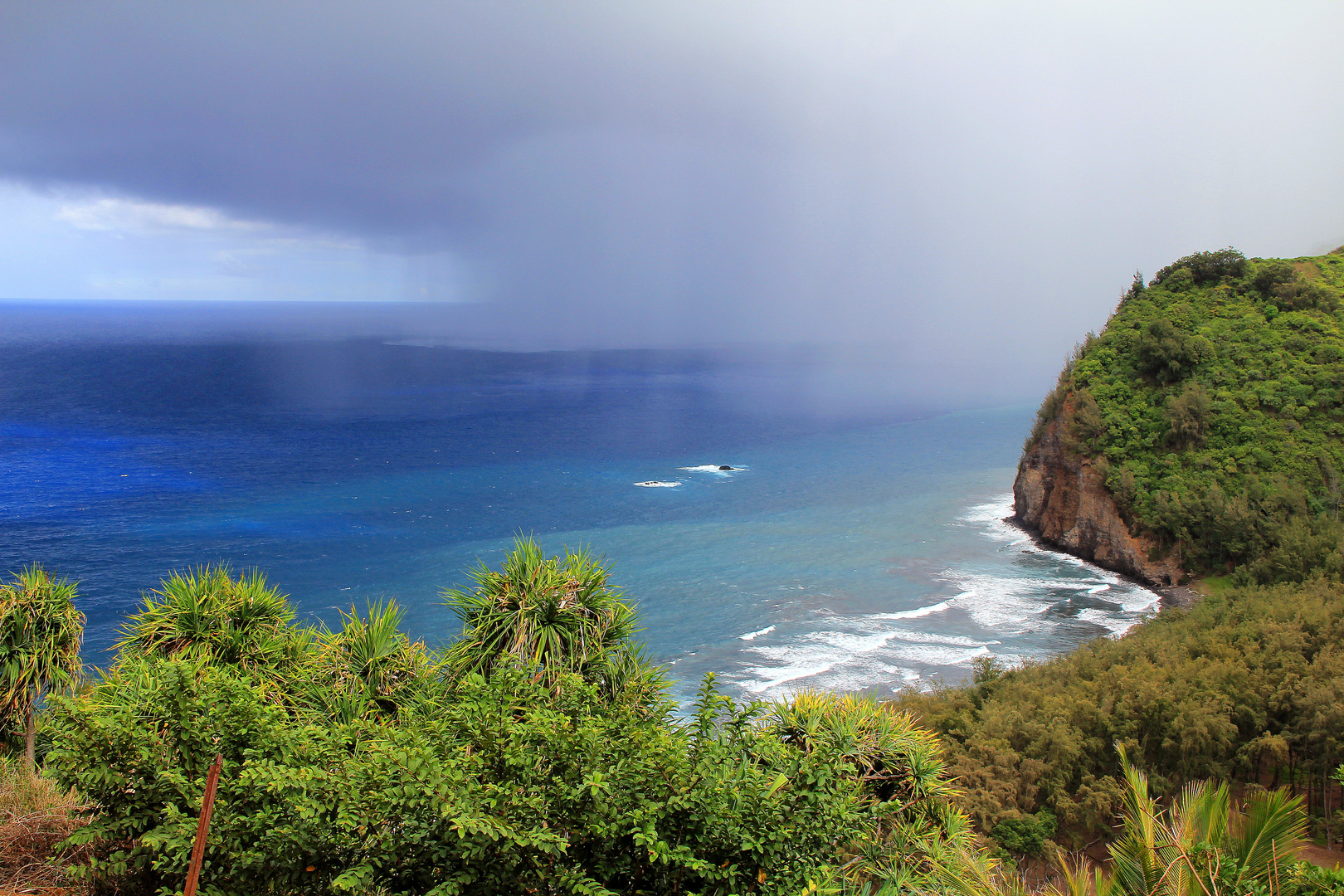 ...Regenwolke im Paradies...