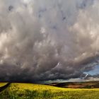 Regenwolke über dem Taubertal mit Senfblüte.