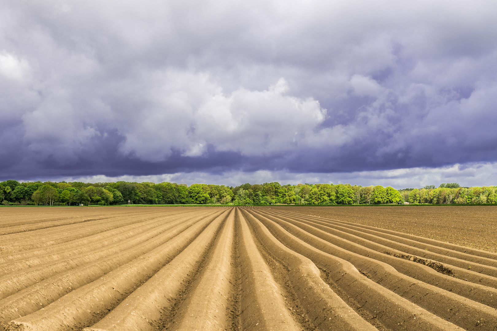 Regenwolken