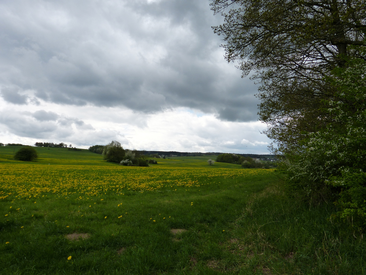 Regenwolken