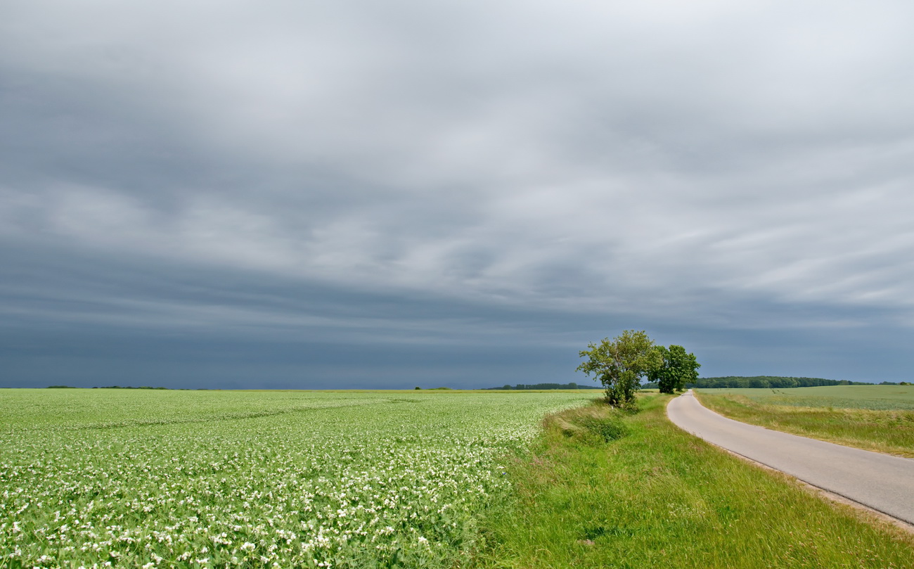 Regenwolken