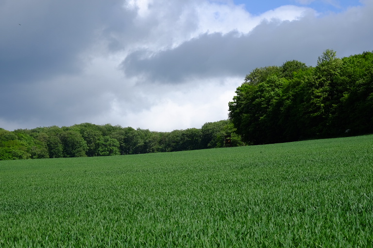 Regenwolken