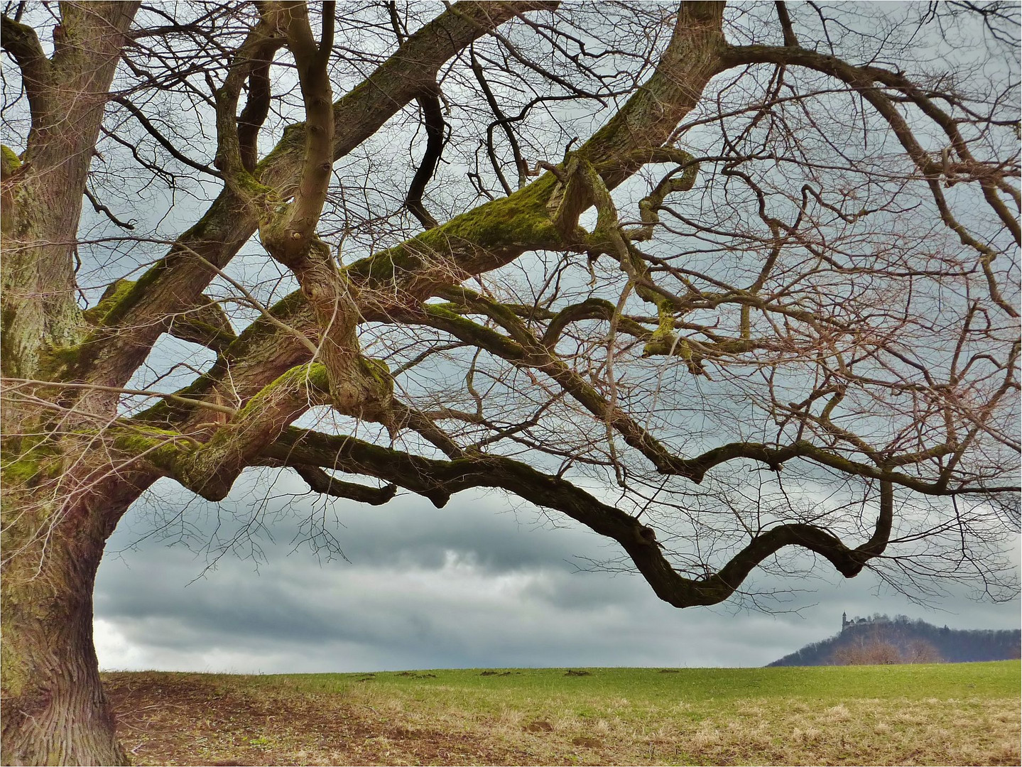 Regenwolken