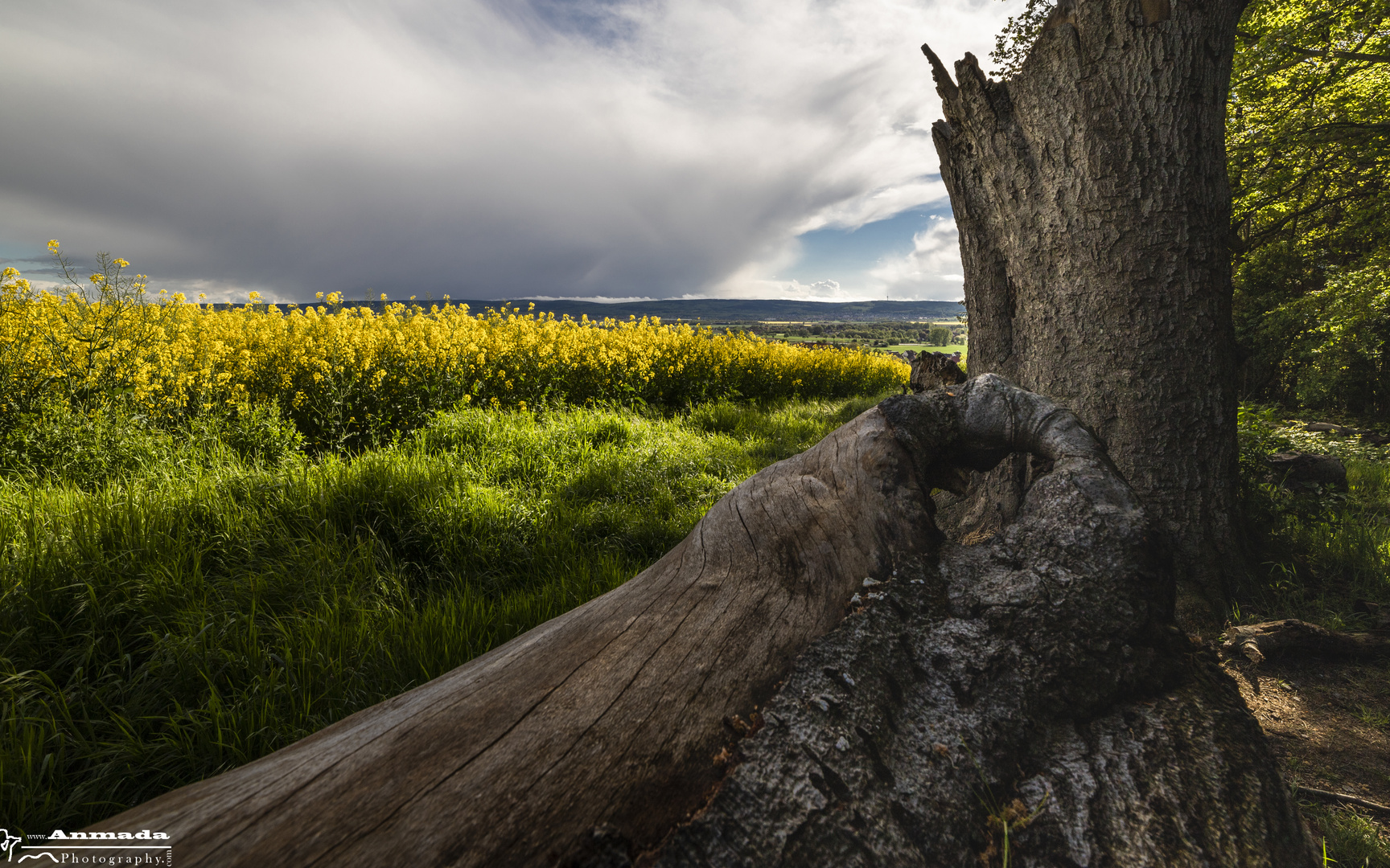 Regenwolken im Calenberger Land