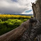 Regenwolken im Calenberger Land