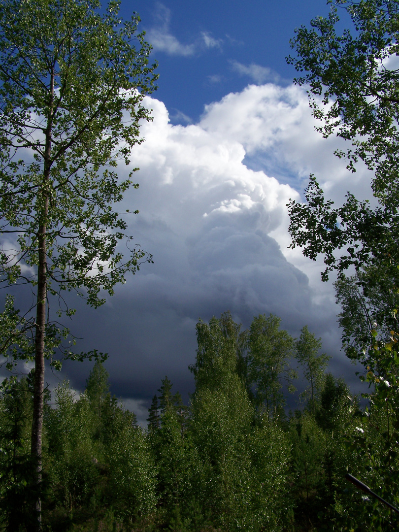 Regenwolken in Schweden