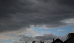 Regenwolken mit einsamem Vogel