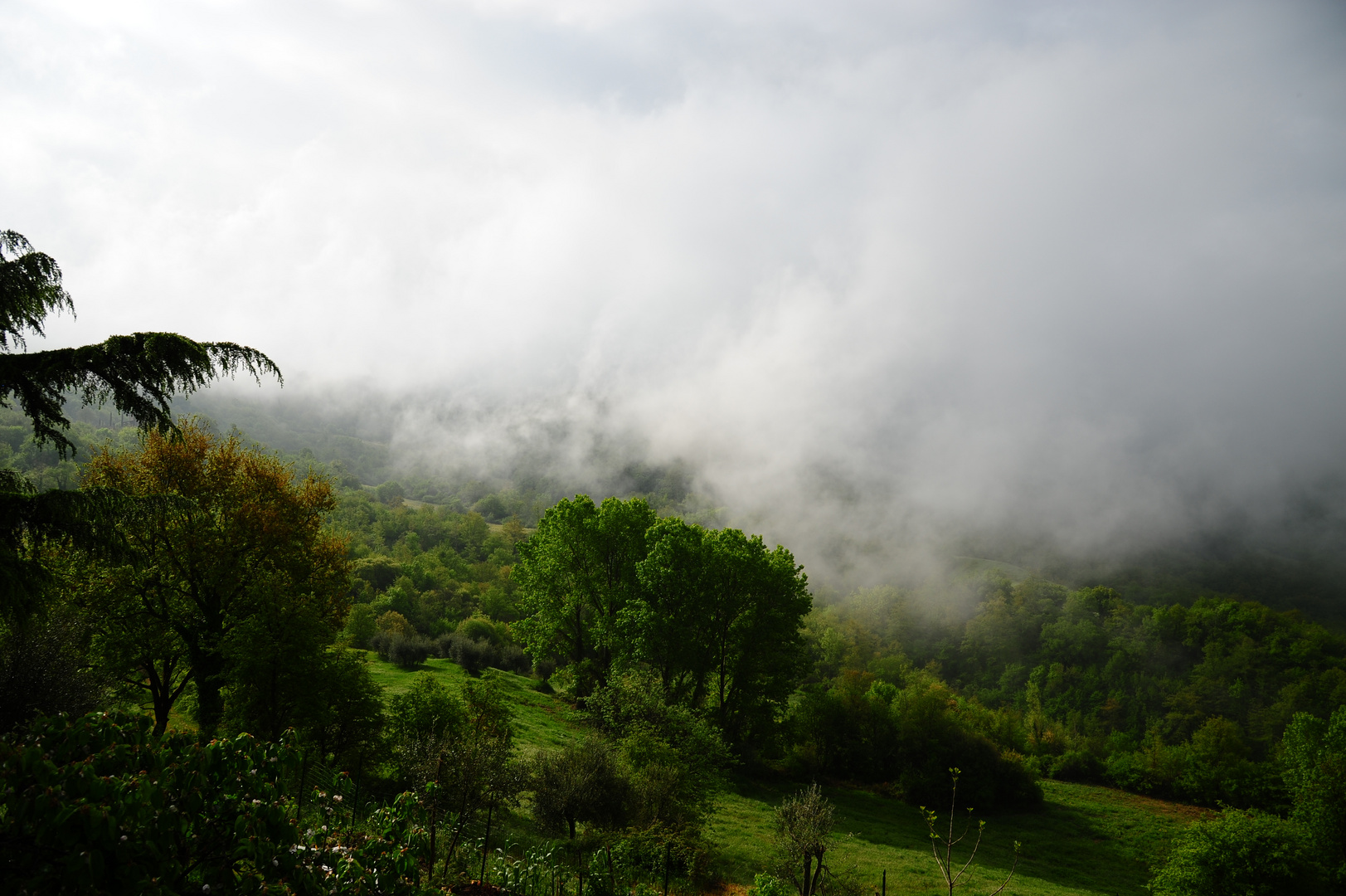 Regenwolken steigen