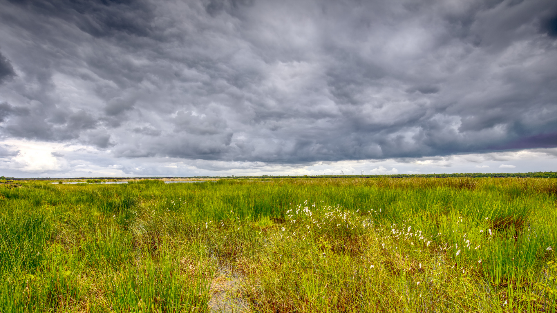 *** Regenwolken über dem Moor *** 