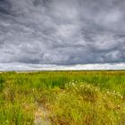 *** Regenwolken über dem Moor *** 