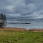  Regenwolken über dem Strelasund