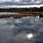 Regenwolken über dem Weidmoos