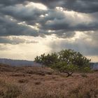 Regenwolken über der Heide 