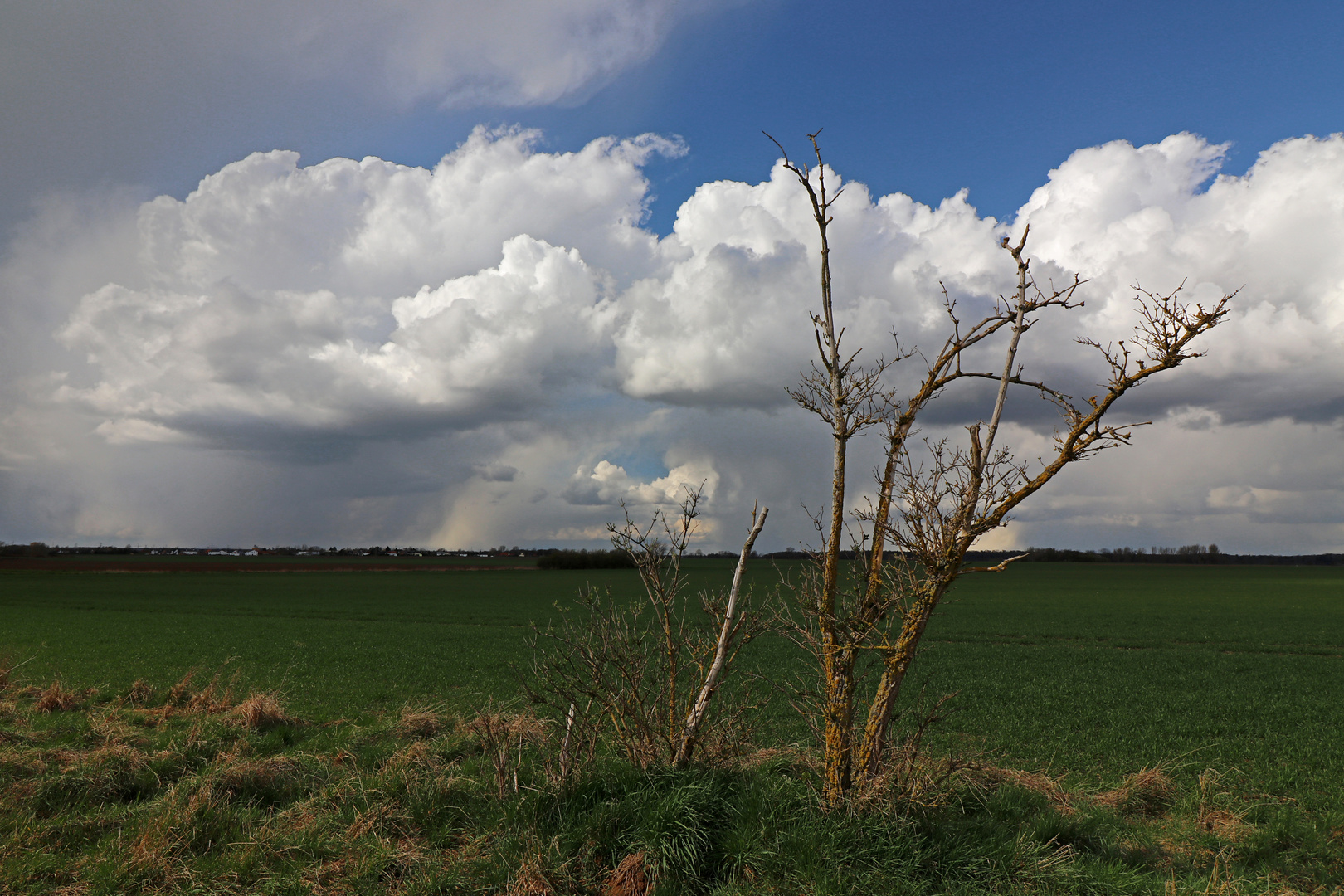 Regenwolken über freiem Feld