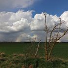 Regenwolken über freiem Feld