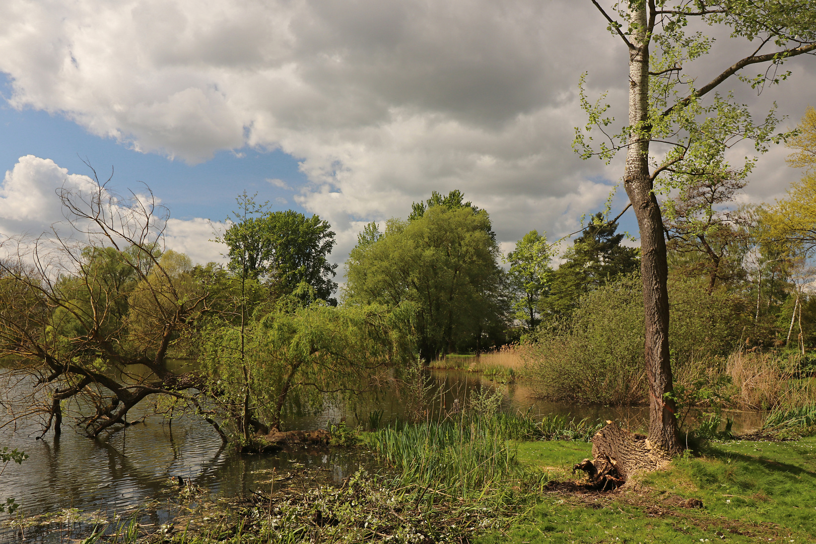 Regenwolken überm Dowesee