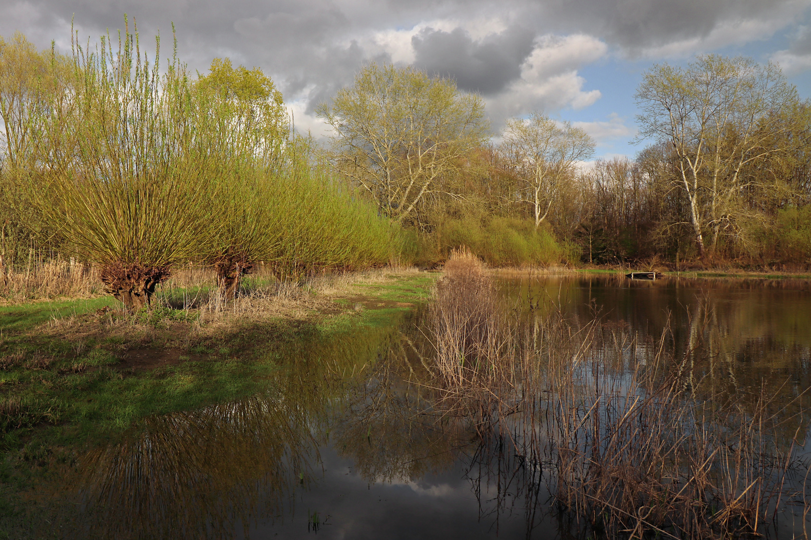 Regenwolken überm Teich