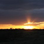 Regenwolken und Sonnenschein am abendlichen Himmel Masai Mara  >>>>>>>>>>