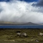 Regenwolken ziehen ein...