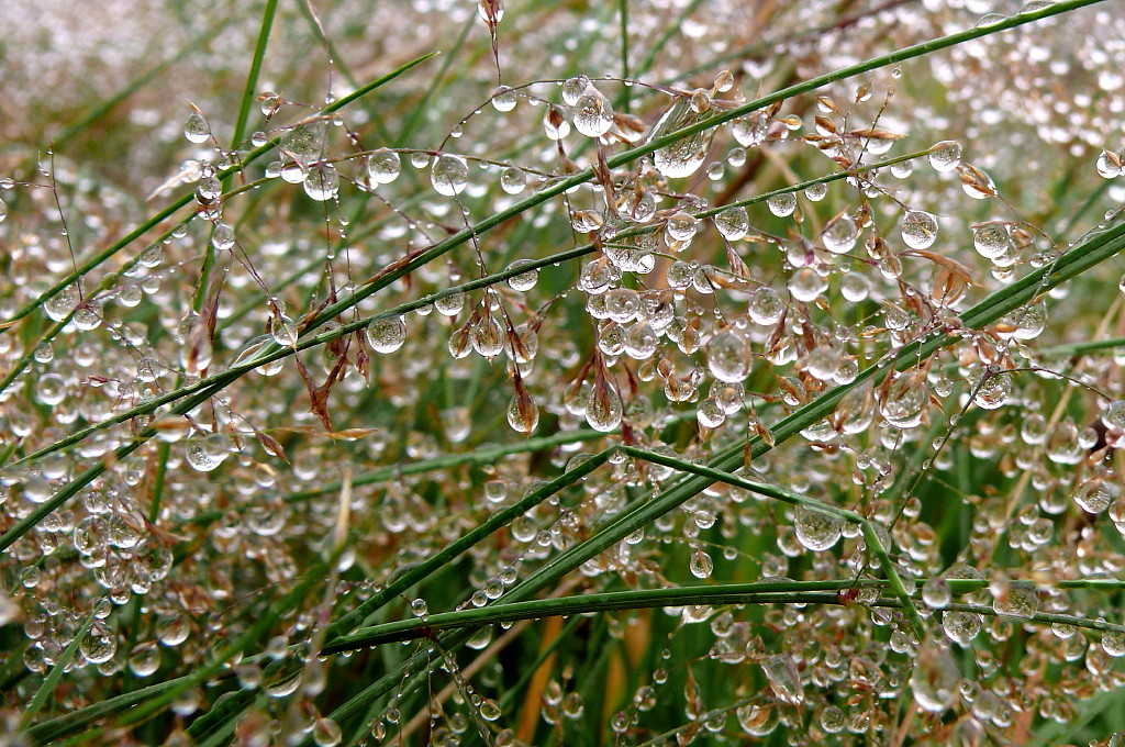 Regenzauber