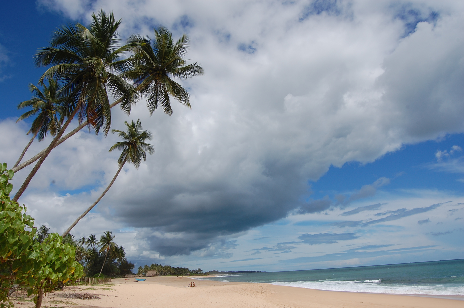 Regenzeit im Paradies - Sri Lanka