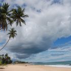 Regenzeit im Paradies - Sri Lanka